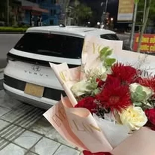 Hình ảnh hoạt động tư vấn xe tại Điện Biên
